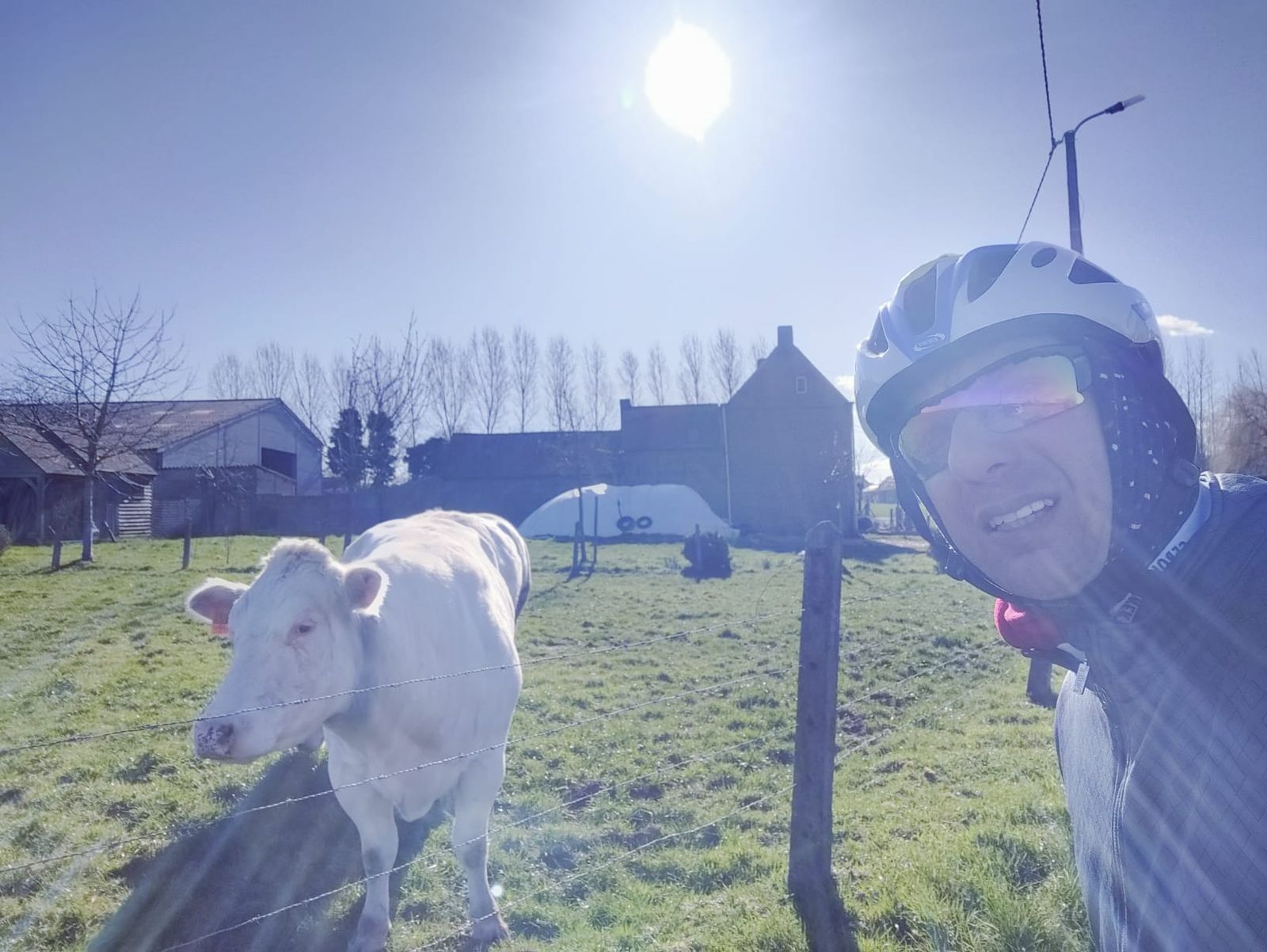 Selfie picture featuring Roberto and a white cow