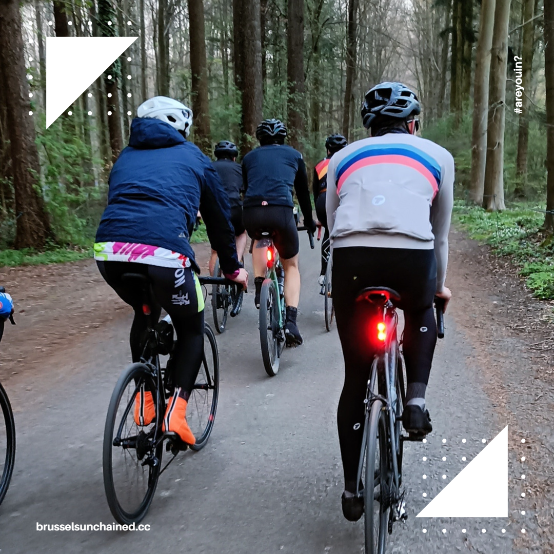 Group of cyclists riding through the forest