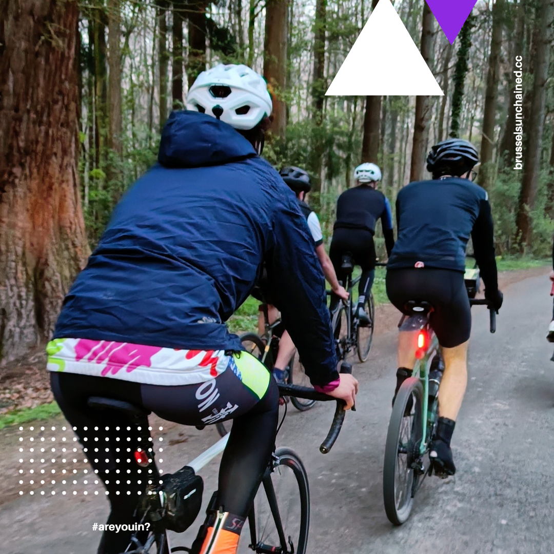 Group of riders cycling in the woods