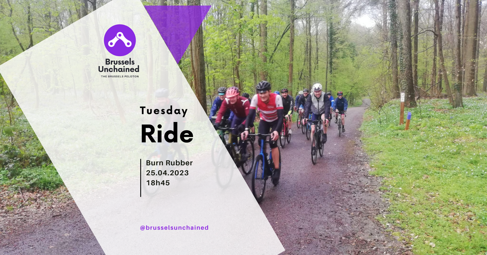 Cover image showing riders cycling through a humid forest