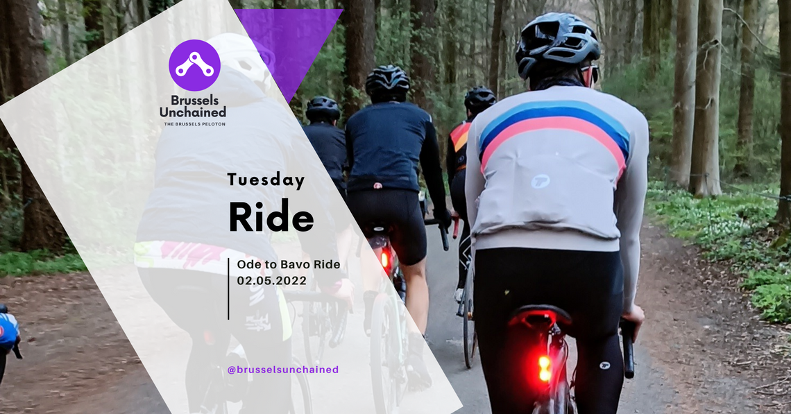 Group of riders cycling through the forest