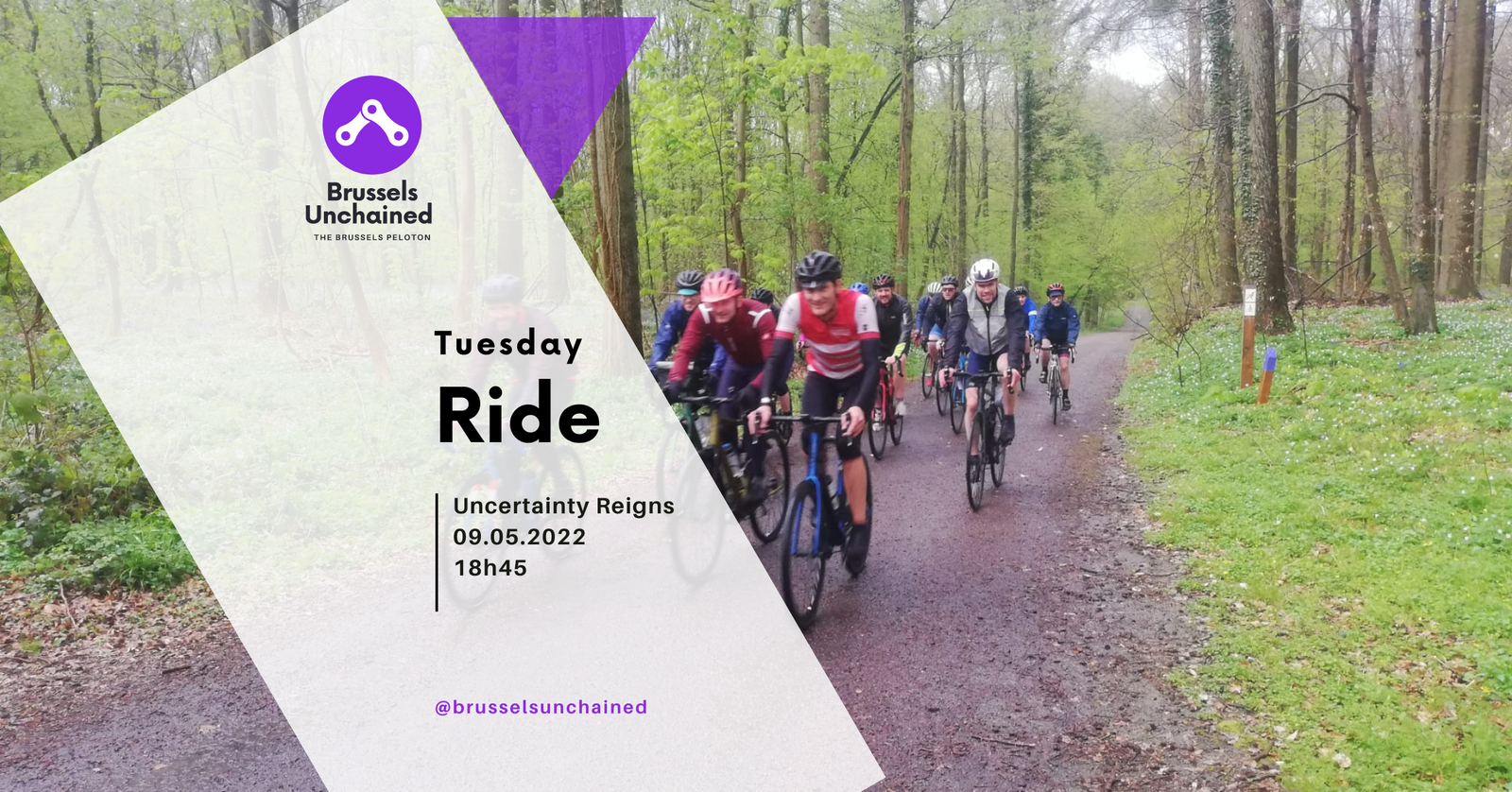 Cyclists riding through the woods