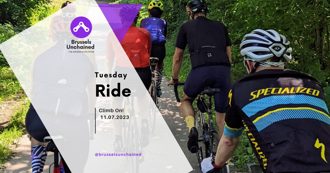 Group of cyclists riding between trees