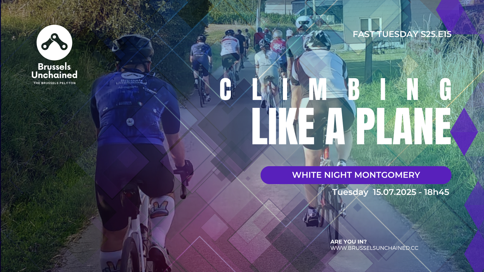 Large group of cyclists in peloton formation